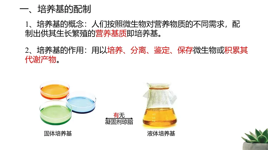 人教版高中生物选修3 1-2《微生物的培养技术及应用》第1课时 教学课件第6页