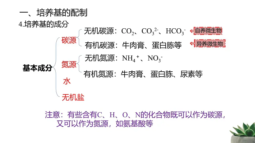 人教版高中生物选修3 1-2《微生物的培养技术及应用》第1课时 教学课件第8页