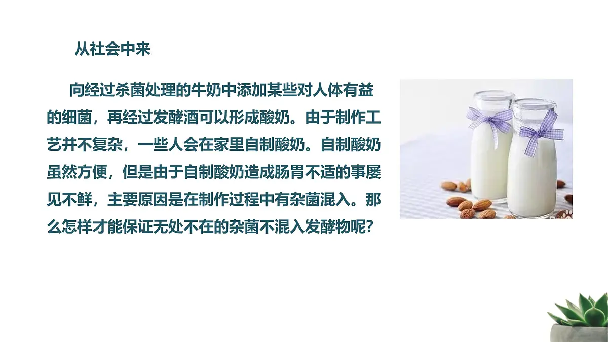 人教版高中生物选修3 1-2《微生物的培养技术及应用》第2课时 教学课件第2页