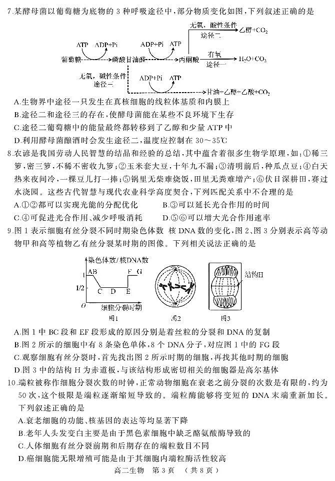 河南省驻马店市2025届新高二下学期7月期末质量监测-生物试卷+答案第3页