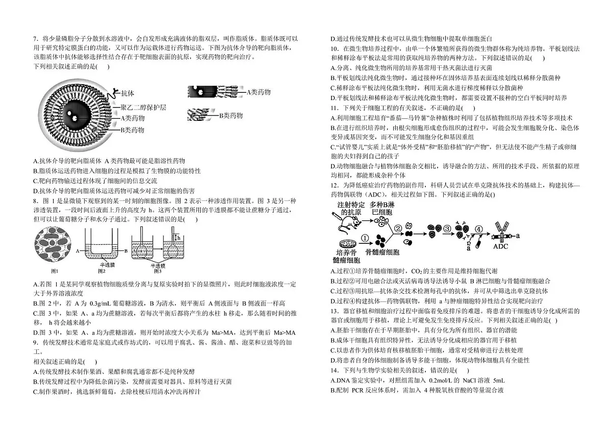 吉林省“BEST合作体”2025届新高二下学期7月期末考试-生物试卷+答案第2页
