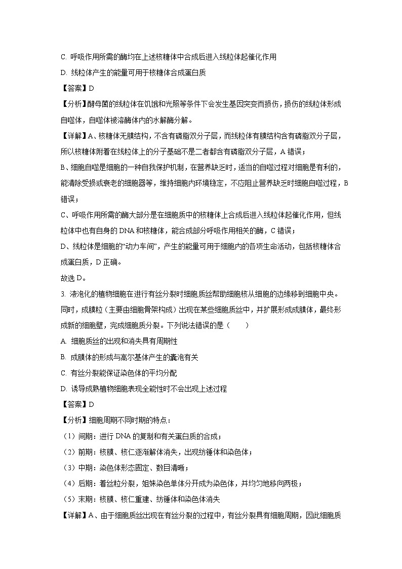 山西省太原市2025届高三下5月模拟生物试卷（解析版）第2页