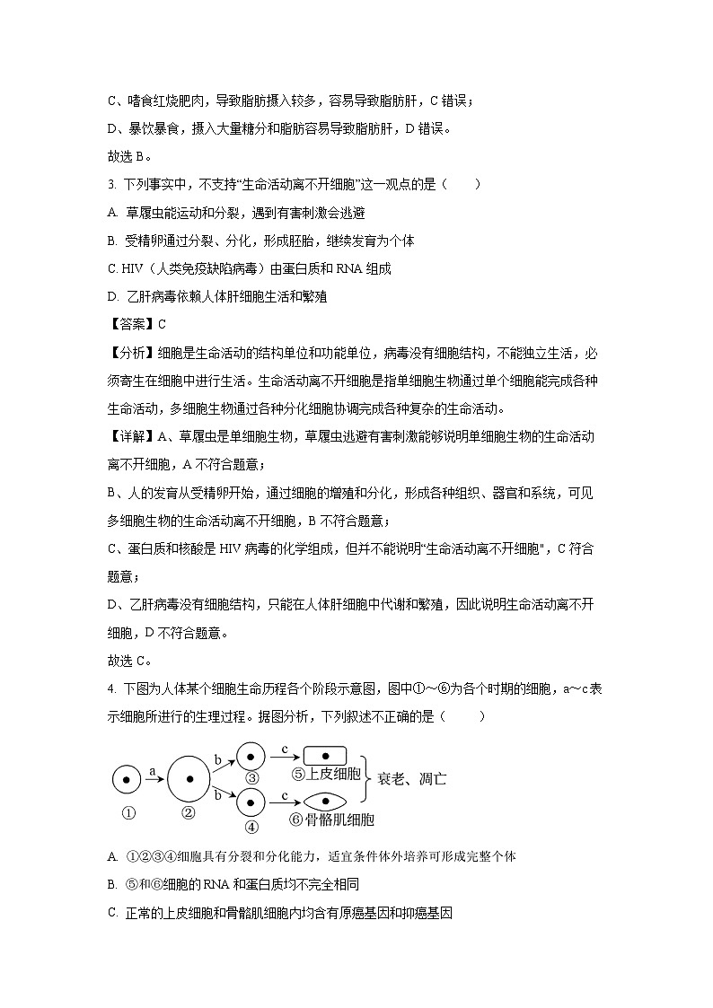 浙江省余姚市2024-2025学年高一下学期3月月考生物试卷（解析版）第2页
