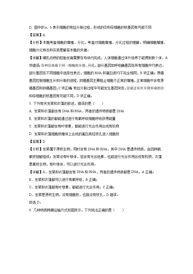 浙江省余姚市2024-2025学年高一下学期3月月考生物试卷（解析版）第3页