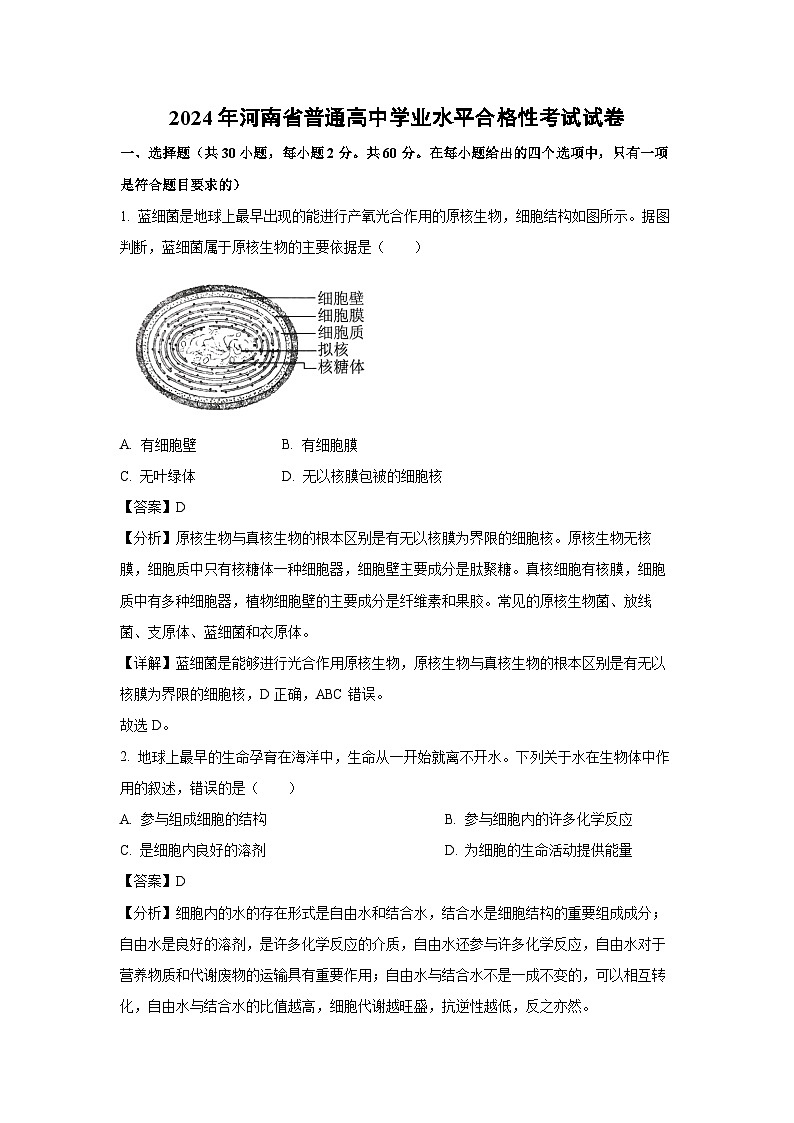2024年河南省普通高中学业水平合格性考试生物试卷（解析版）第1页