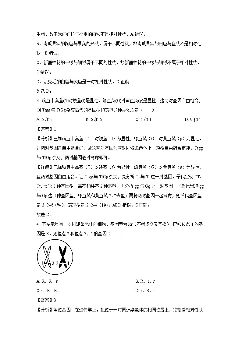 贵州省安顺市2024-2025学年高一下学期3月月考生物试卷（解析版）第2页