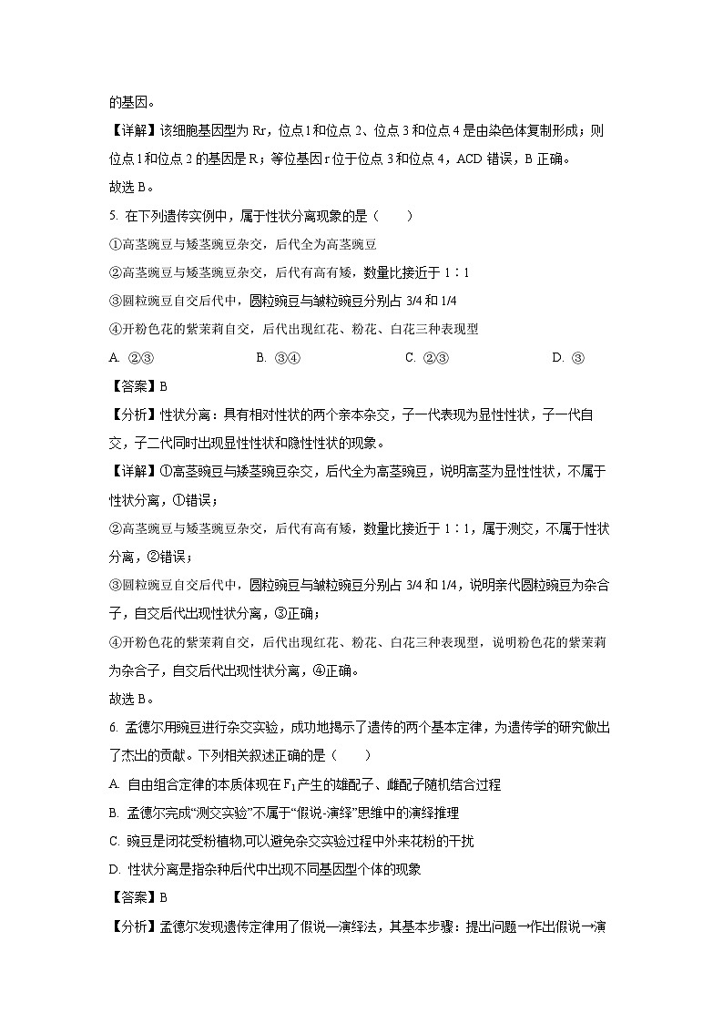 贵州省安顺市2024-2025学年高一下学期3月月考生物试卷（解析版）第3页