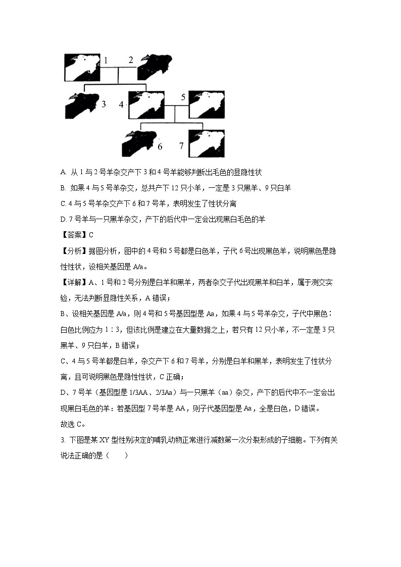 广东省普宁市勤建学校2024-2025学年高一下学期第二次调研考试生物试卷（解析版）第2页