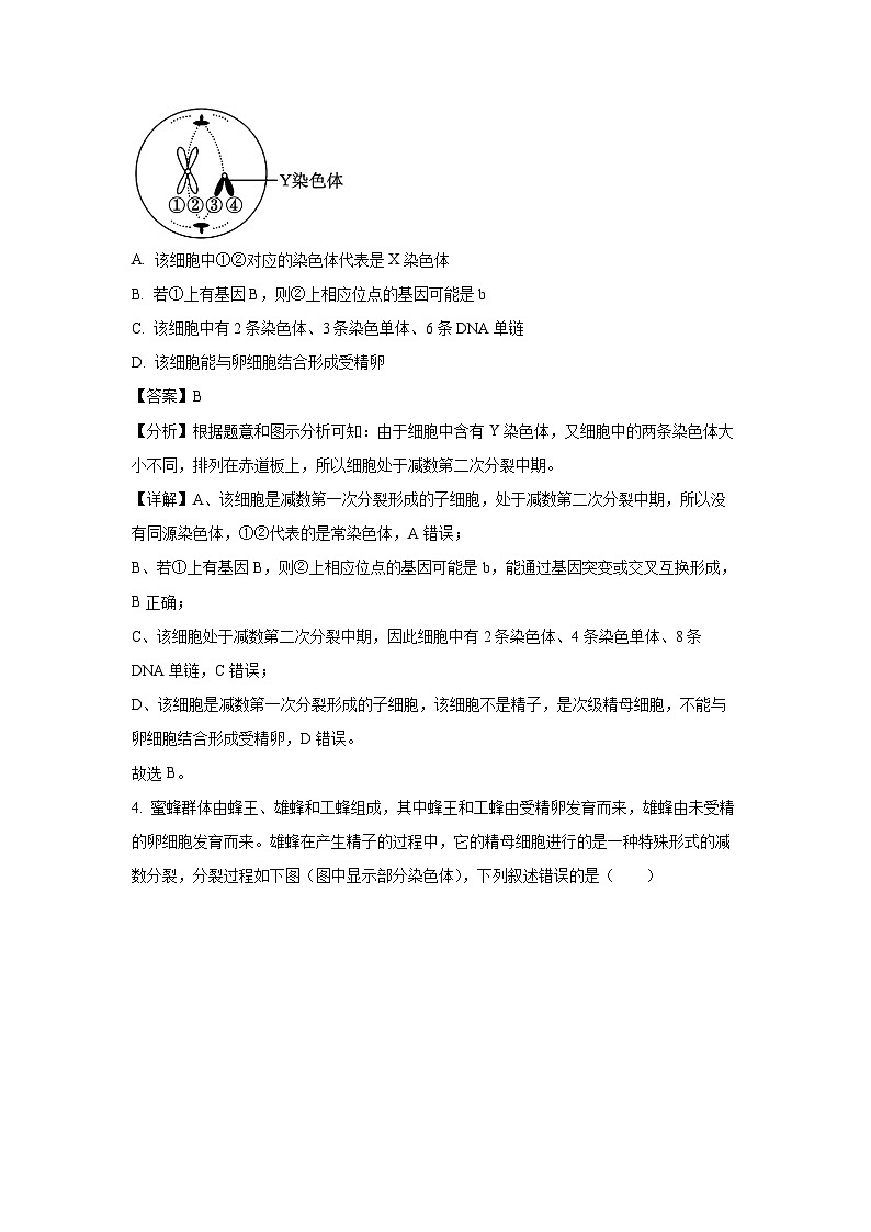 广东省普宁市勤建学校2024-2025学年高一下学期第二次调研考试生物试卷（解析版）第3页