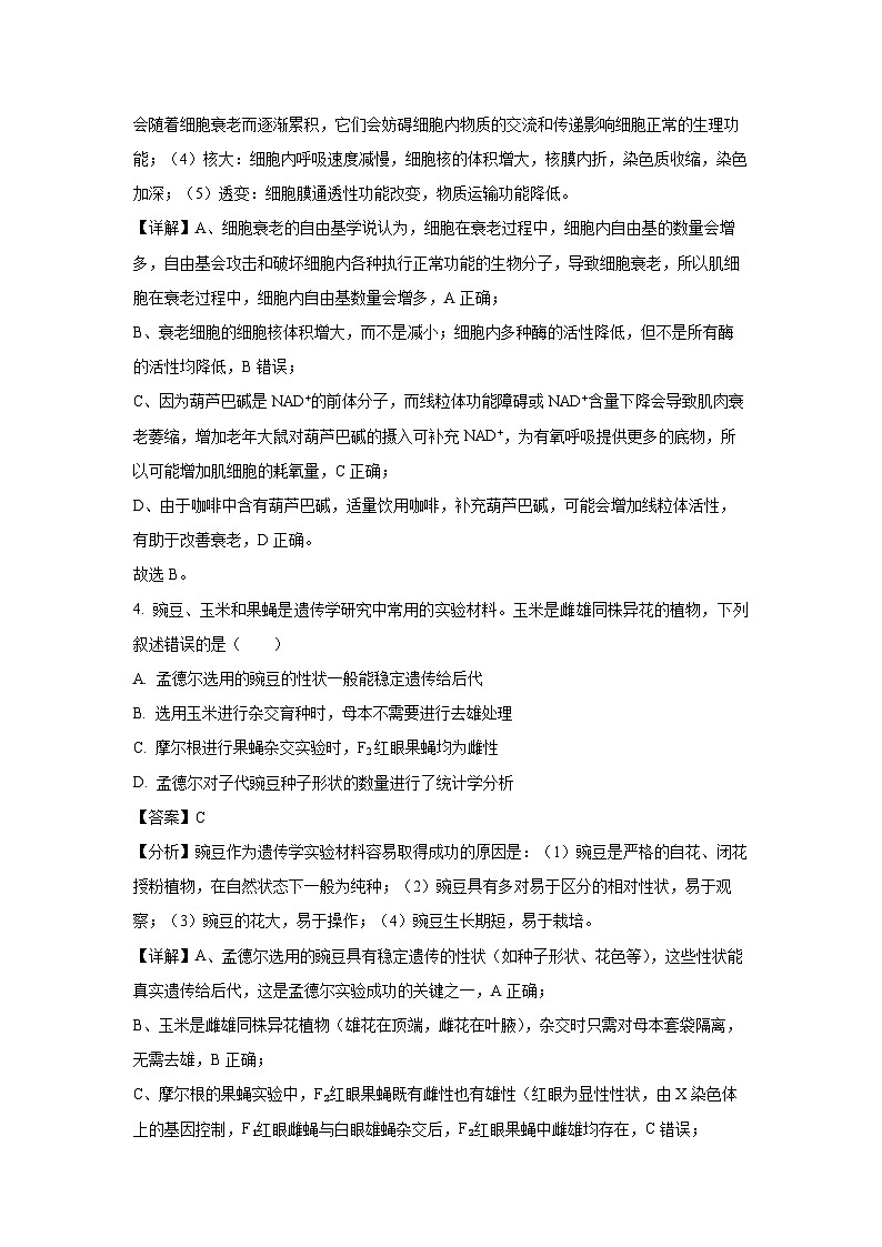 河南省部分学校2024-2025学年高一下学期5月月考生物试卷（解析版）第3页
