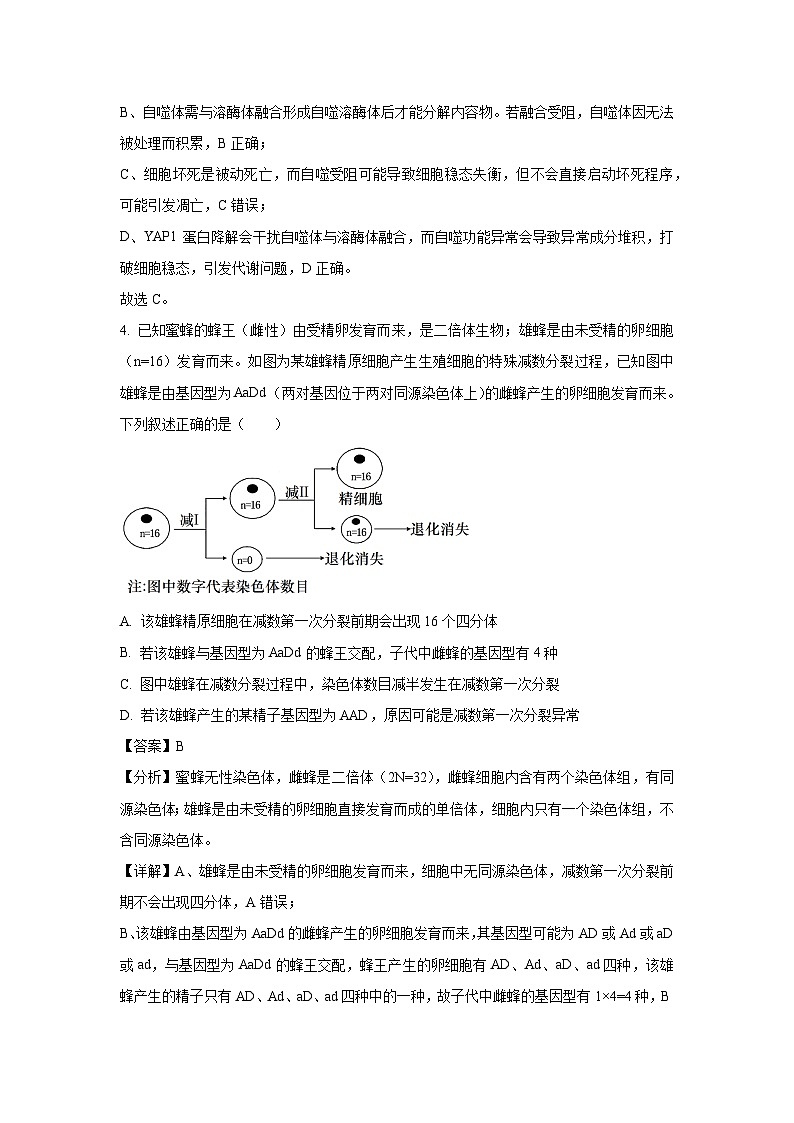 山西省部分学校2025届高三下5月押题考试生物试卷（解析版）第3页