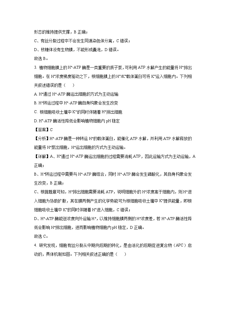 江苏省苏州市2025届高三三模[高考模拟]生物试卷（解析版）第2页