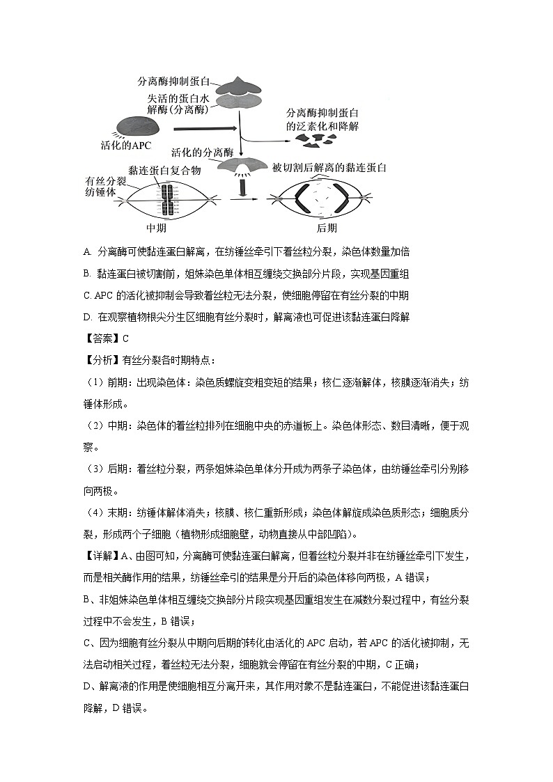 江苏省苏州市2025届高三三模[高考模拟]生物试卷（解析版）第3页