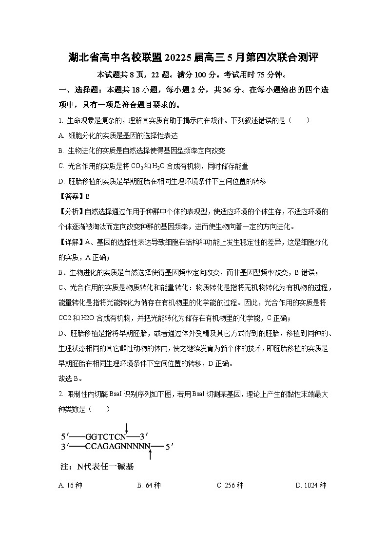 湖北省高中名校联盟20225届高三下5月第四次联合测评生物试卷（解析版）第1页