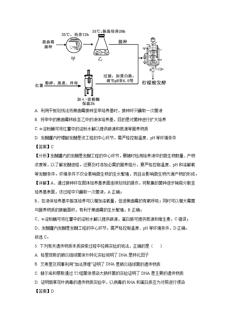广西南宁市部分学校2025届高三二模[高考模拟]生物试卷（解析版）第3页