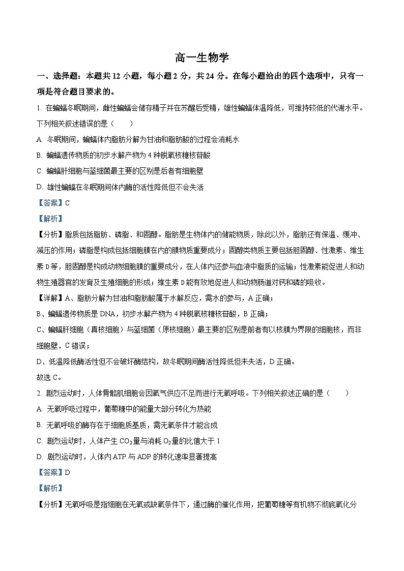 湖南省2024-2025学年高一下学期期末考试生物试题 Word版含解析第1页