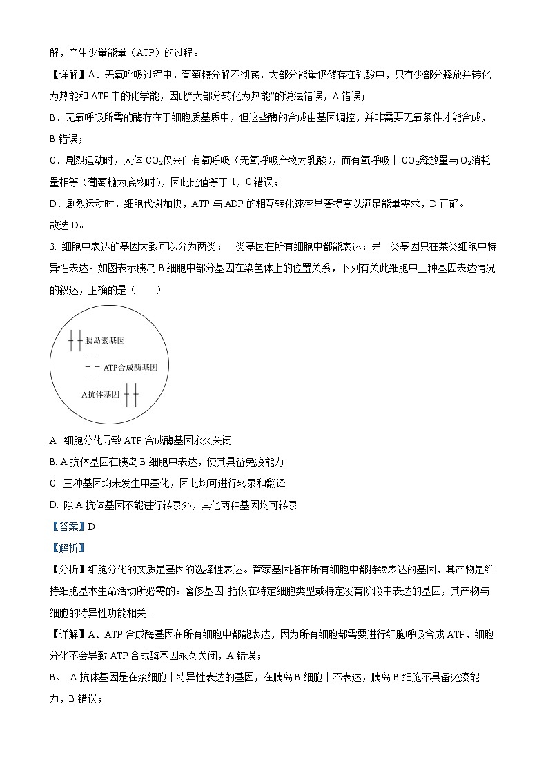 湖南省2024-2025学年高一下学期期末考试生物试题 Word版含解析第2页
