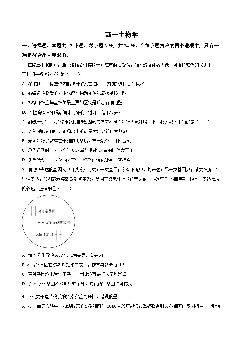 湖南省2024-2025学年高一下学期期末考试生物试题（原卷版）第1页