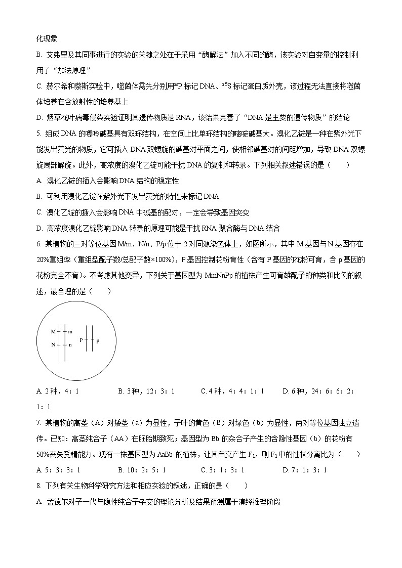 湖南省2024-2025学年高一下学期期末考试生物试题（原卷版）第2页