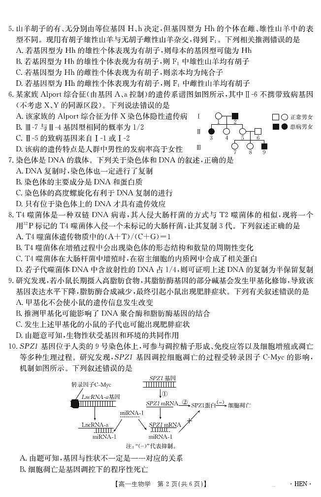 河南省2024-2025学年高一下学期6月百万大联考生物试题（PDF版附解析）第2页