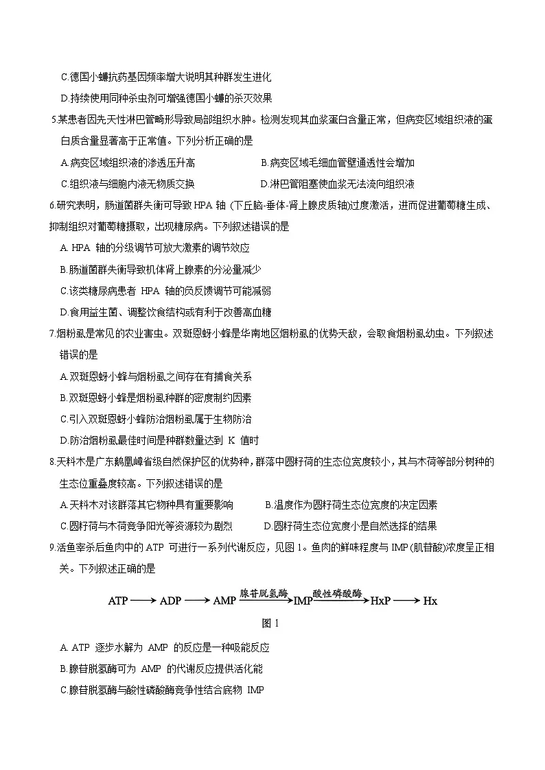 广东省汕头市2024-2025学年高二下学期期末考试生物试卷（Word版附答案）第2页