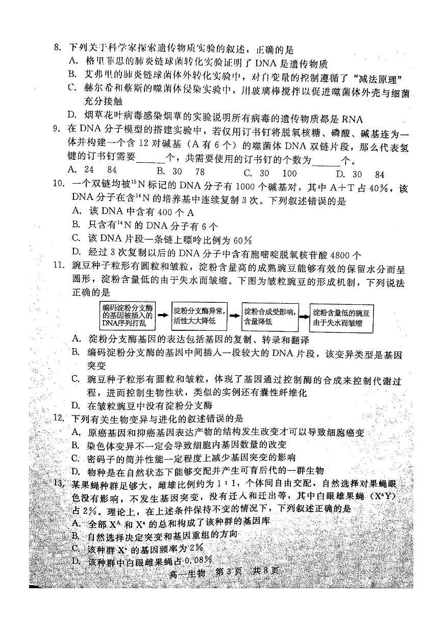 河北省NT20名校联合体2024-2025学年高一下学期期末考试生物试卷（PDF版附解析）第3页