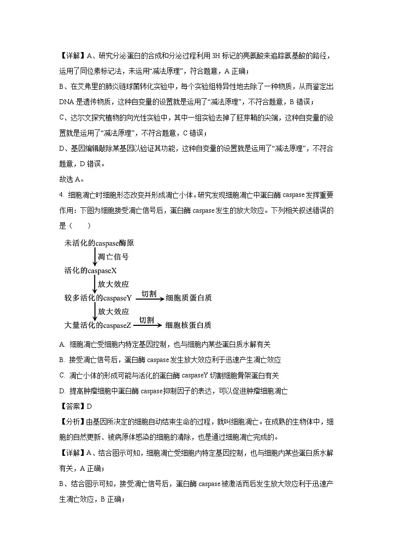 河南省信阳市浉河区2025届高三三模[高考模拟]生物试卷（解析版）第3页