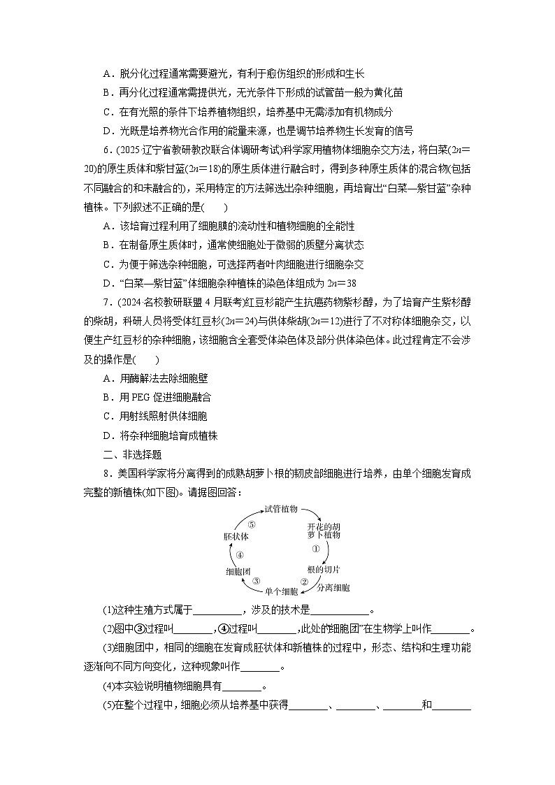 2026届高考生物一轮总复习提能训练练案42植物细胞工程第2页