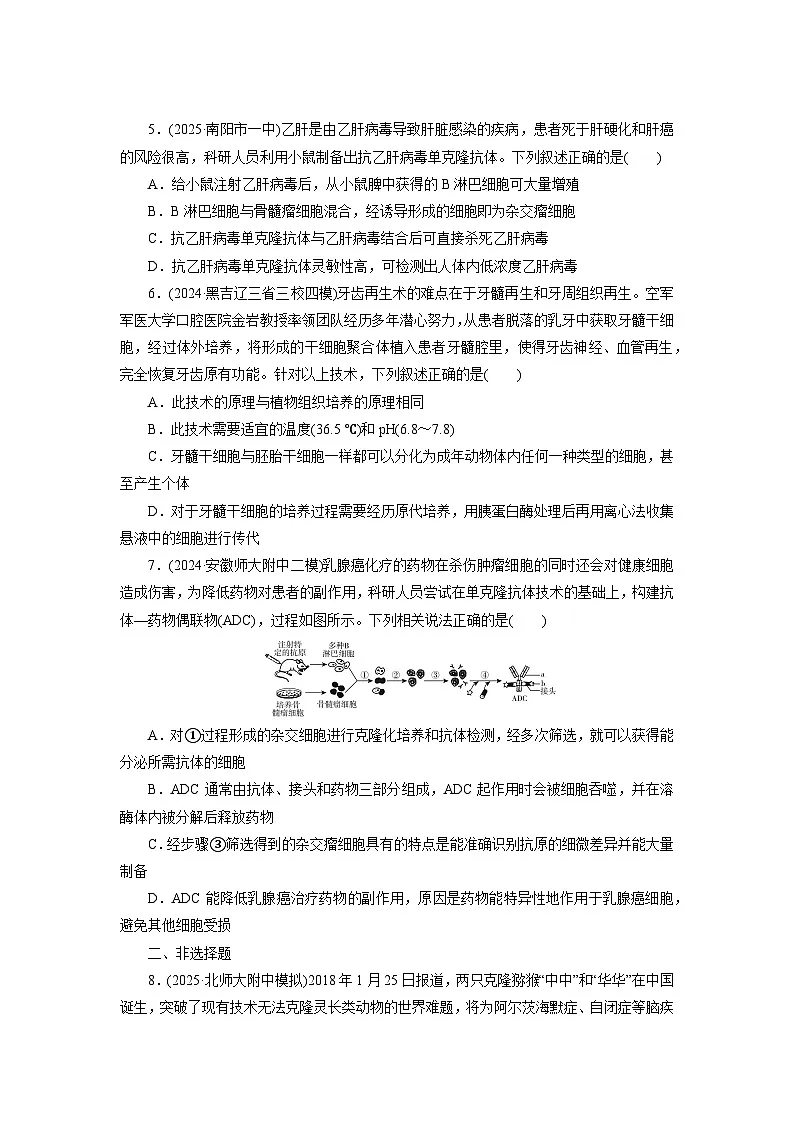 2026届高考生物一轮总复习提能训练练案43动物细胞工程第2页