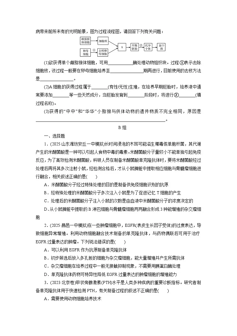 2026届高考生物一轮总复习提能训练练案43动物细胞工程第3页