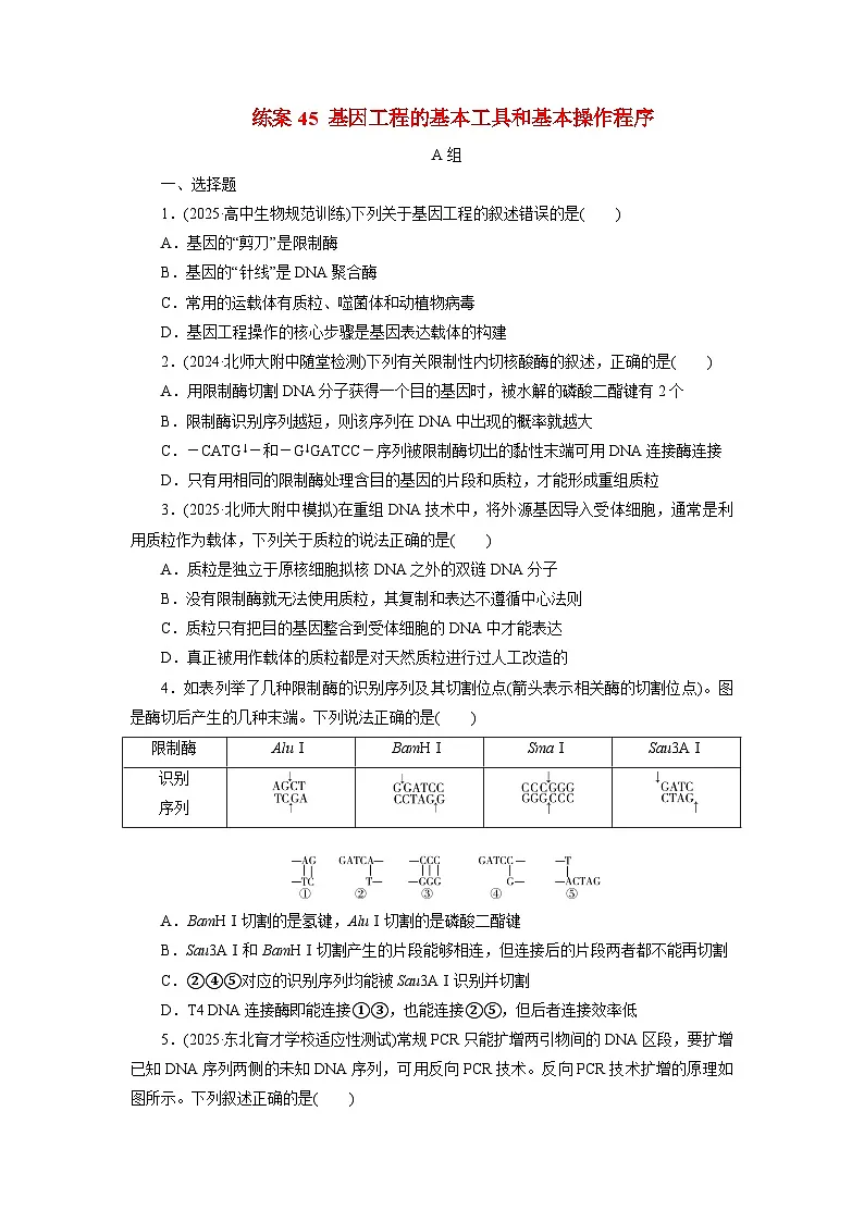 2026届高考生物一轮总复习提能训练练案45基因工程的基本工具和基本操作程序第1页