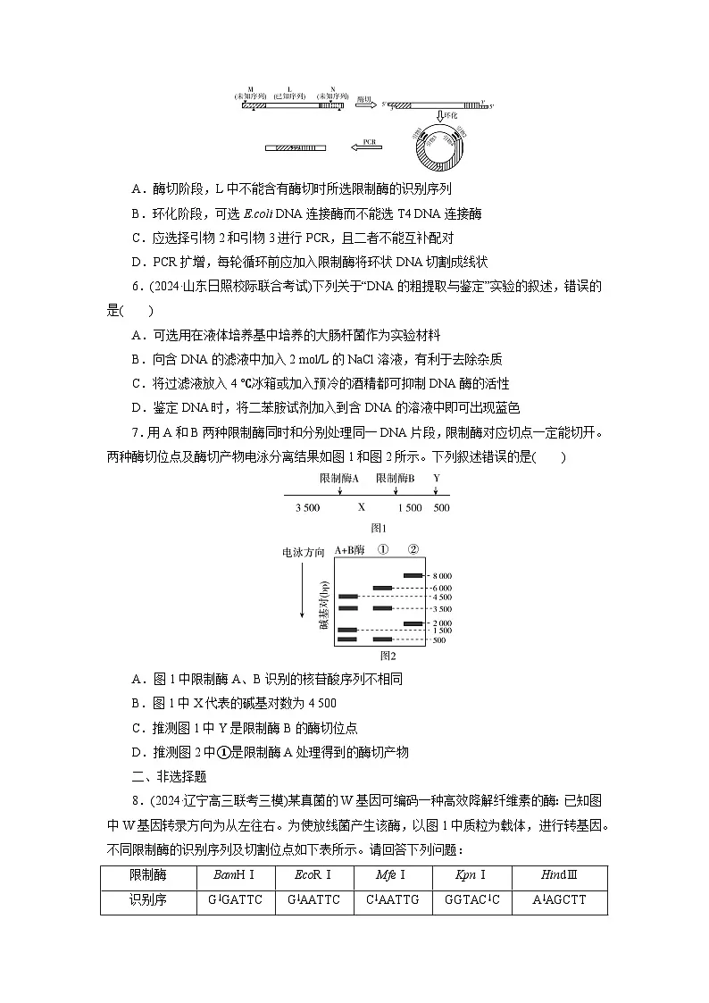 2026届高考生物一轮总复习提能训练练案45基因工程的基本工具和基本操作程序第2页