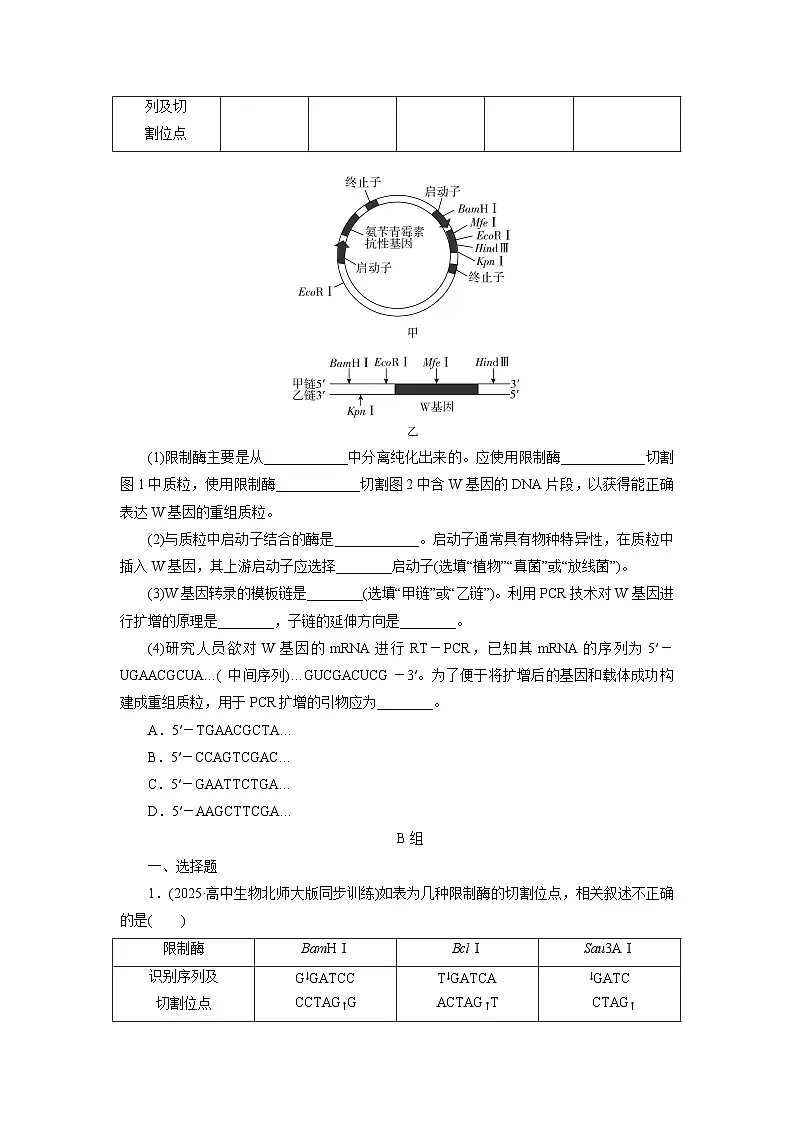 2026届高考生物一轮总复习提能训练练案45基因工程的基本工具和基本操作程序第3页