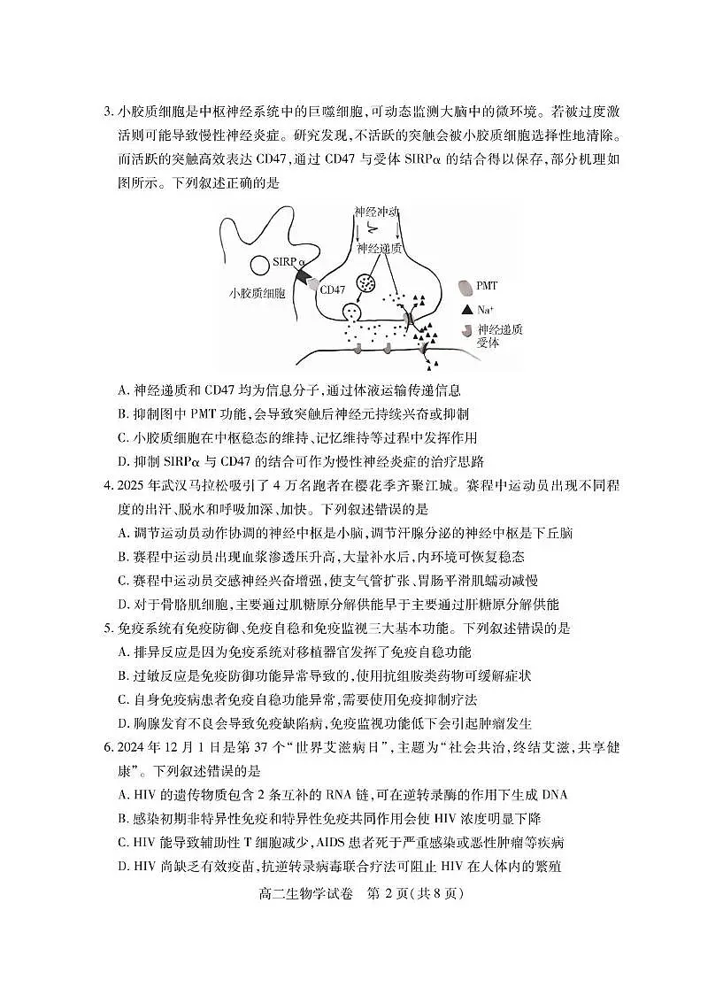 湖北省仙桃市2024-2025学年高二下学期期末考试生物试题（PDF版附答案）第2页