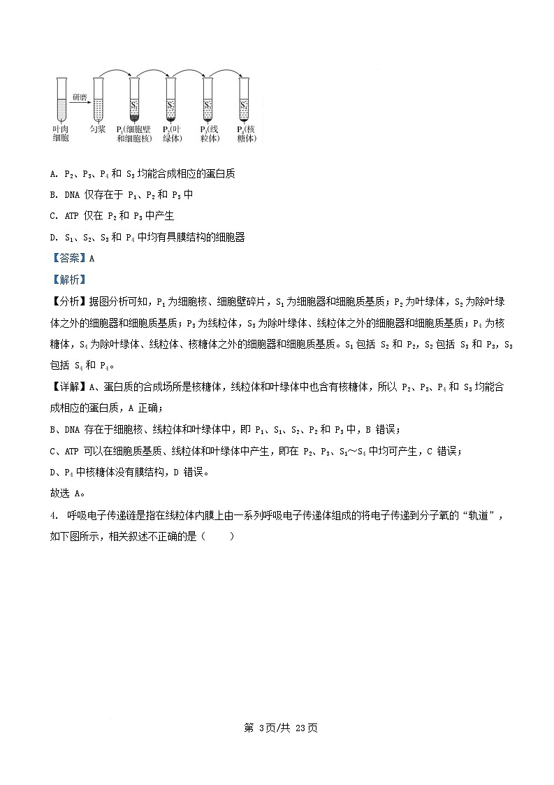 湖北省随州市部分高中2024_2025学年高三生物下学期2月月考试题含解析第3页