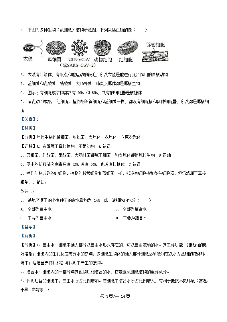 湖南省岳阳市汨罗市2024_2025学年高一生物下学期开学考试试题含解析第3页