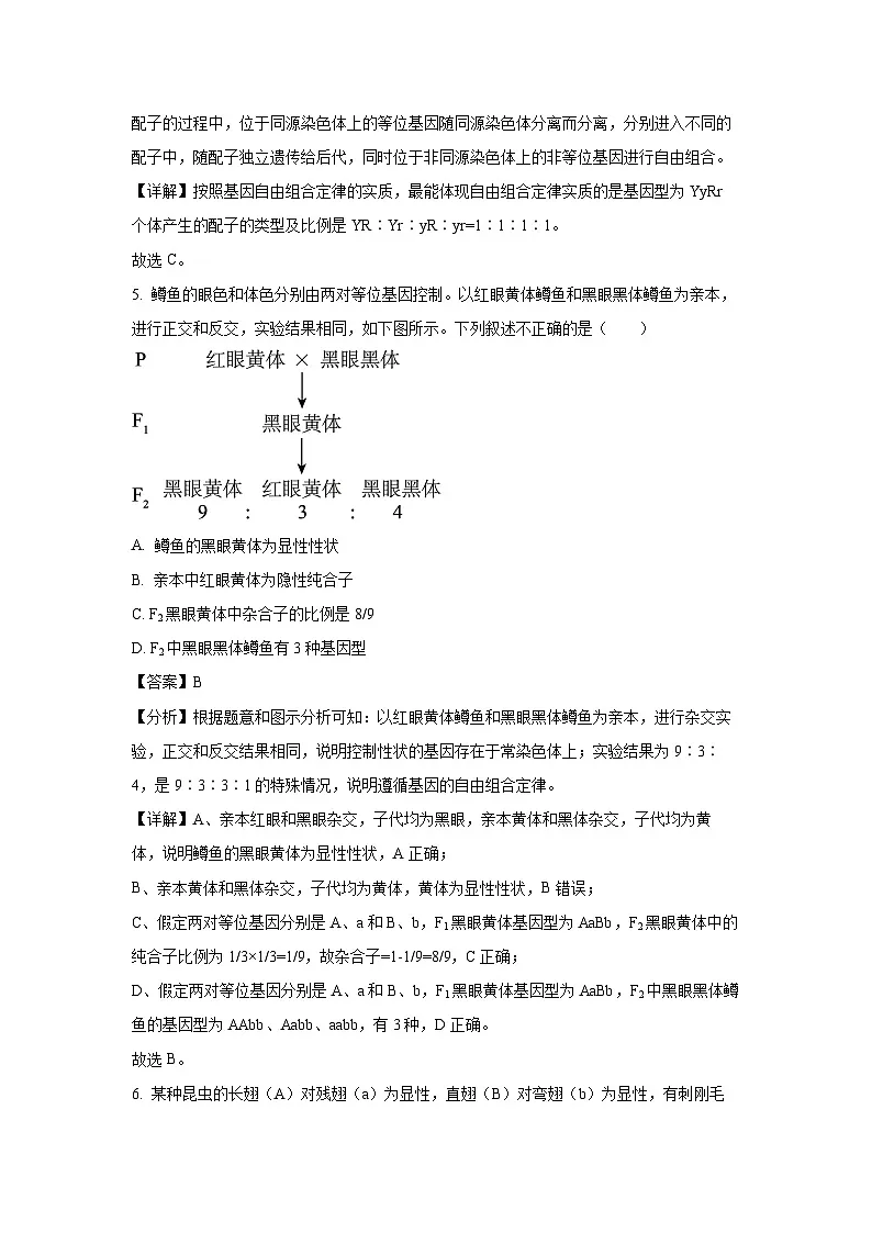 北京市丰台区2023-2024学年高一下学期期中练习A卷生物试卷（解析版）第3页