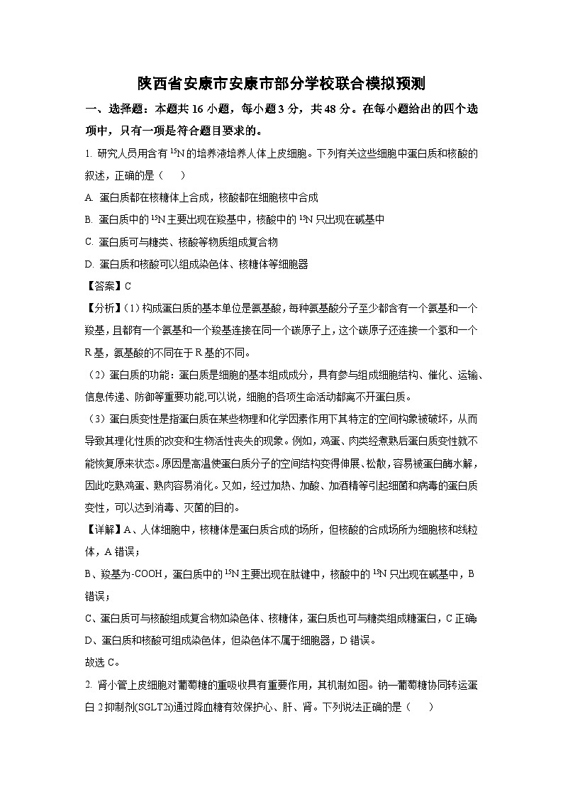 陕西省安康市安康市部分学校联合高考模拟预测生物试卷（解析版）第1页