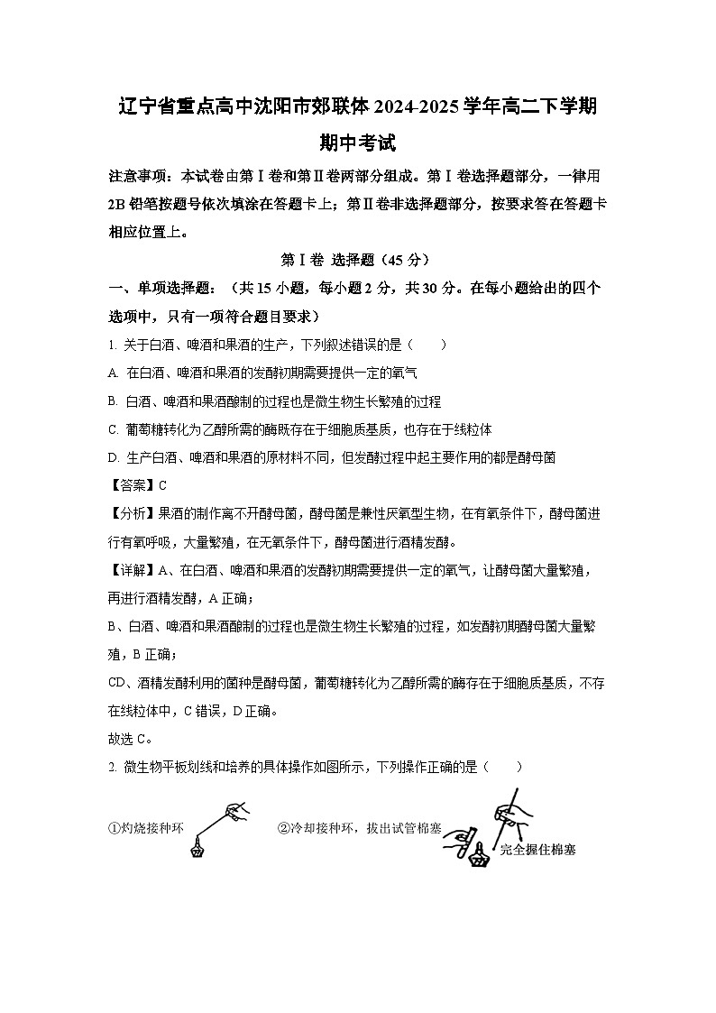 辽宁省重点高中沈阳市郊联体2024-2025学年高二下学期期中考试生物试卷（解析版）第1页