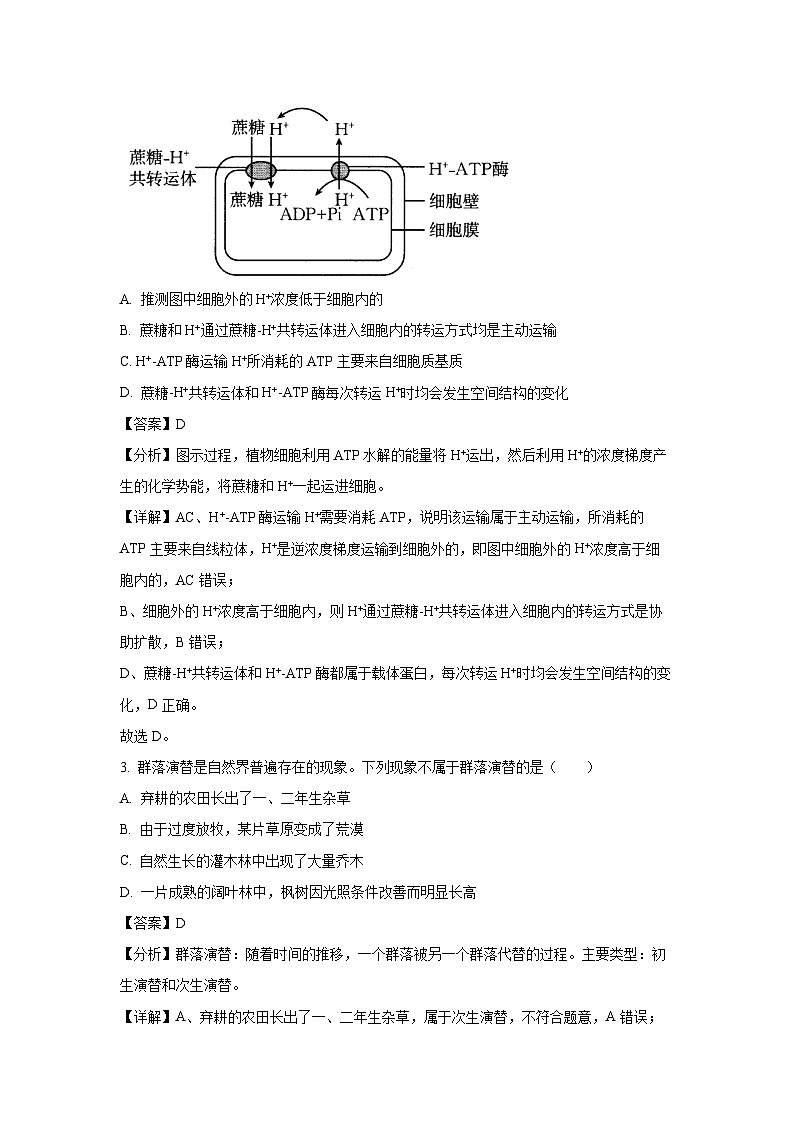 云南省金太阳联考2024-2025学年高二下学期4月期中生物试卷（解析版）第2页