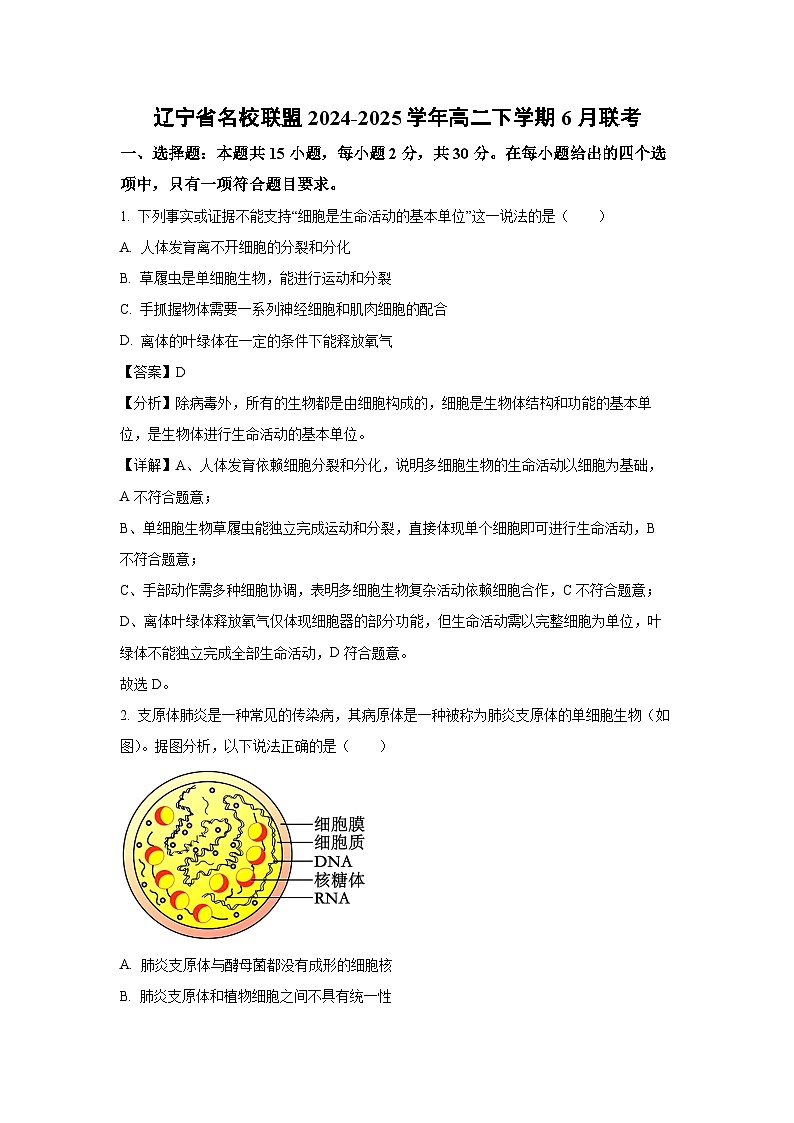 辽宁省名校联盟2024-2025学年高二下学期6月联考生物试卷（解析版）第1页