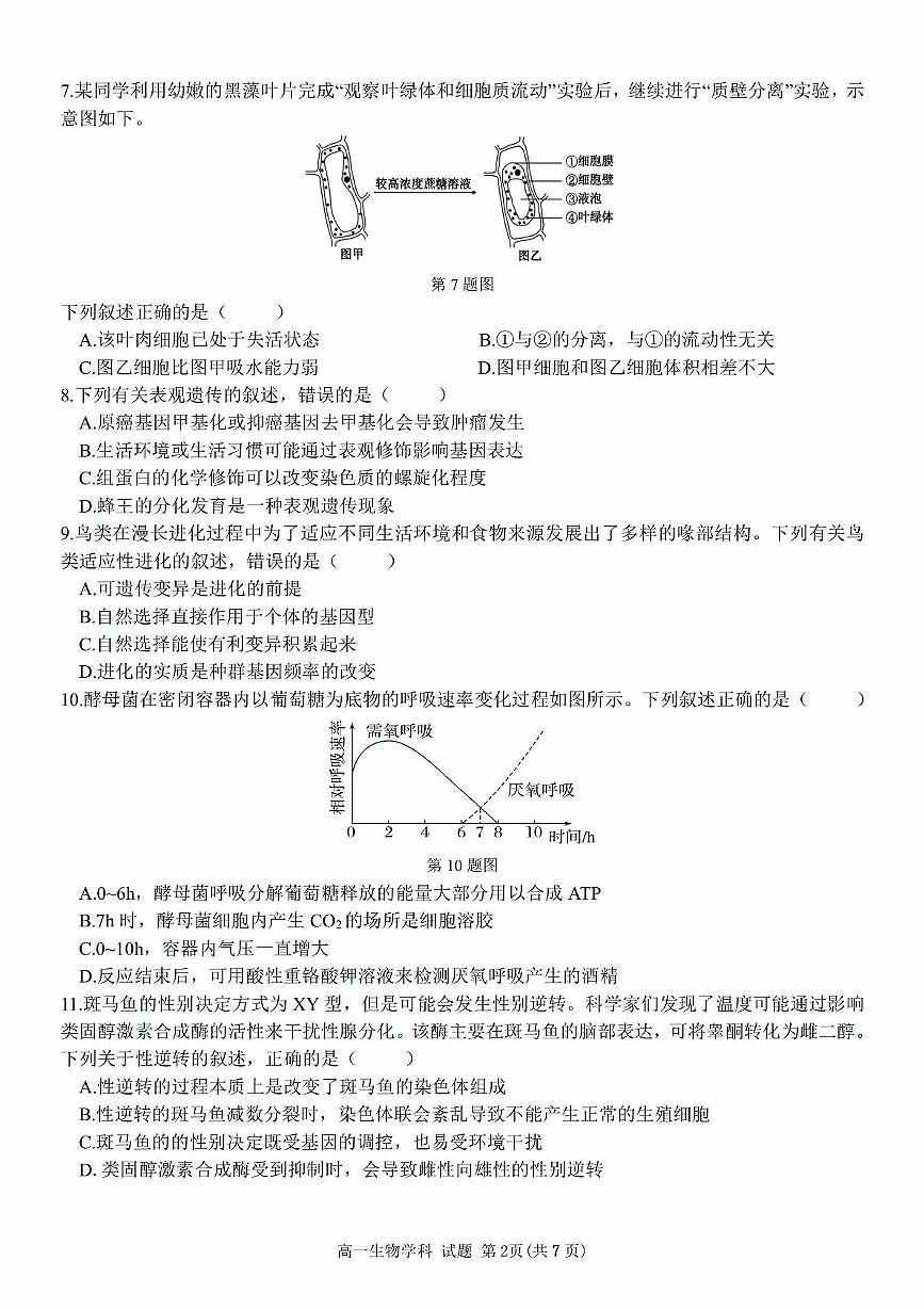 浙江省温州市十校联合体2024-2025学年高一下学期6月期末考试生物试卷（PDF版附答案）第2页