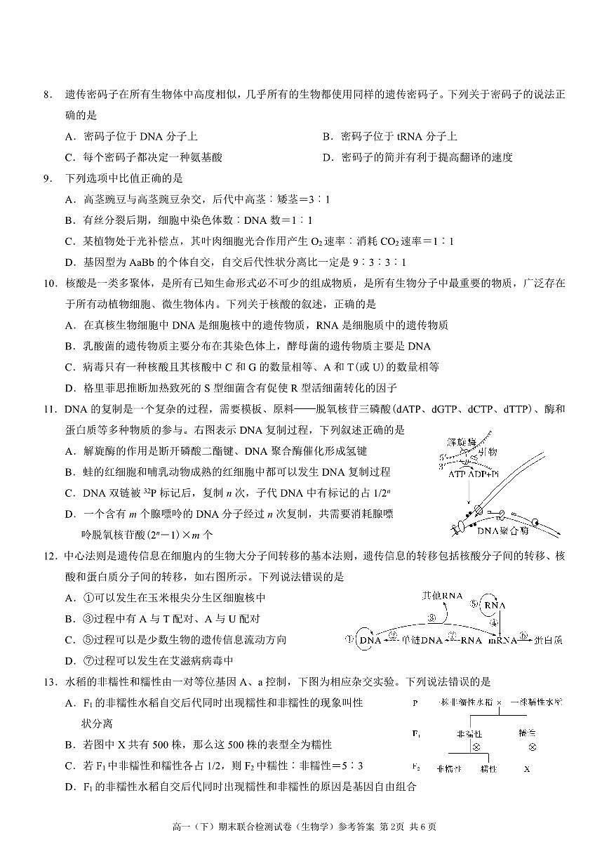 重庆市康德教育2024-2025学年高一下学期期末考试生物试卷（PDF版附解析）第2页