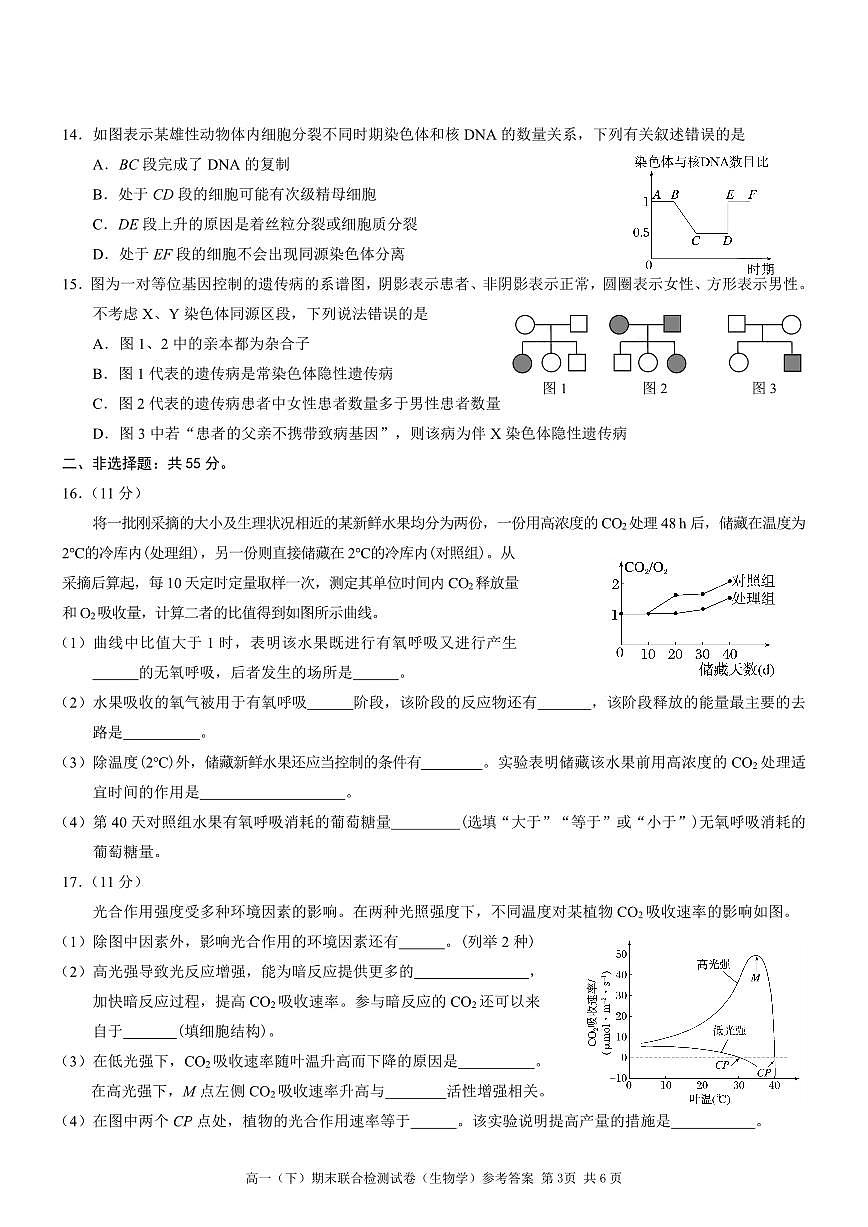 重庆市康德教育2024-2025学年高一下学期期末考试生物试卷（PDF版附解析）第3页