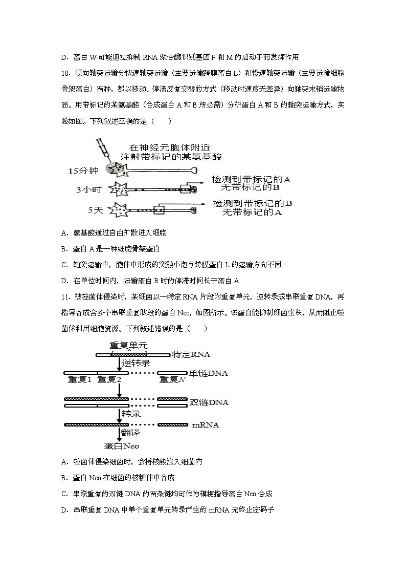 2025年6月湖南普通高中学业水平选择性考试生物试题[原卷]附答案第3页