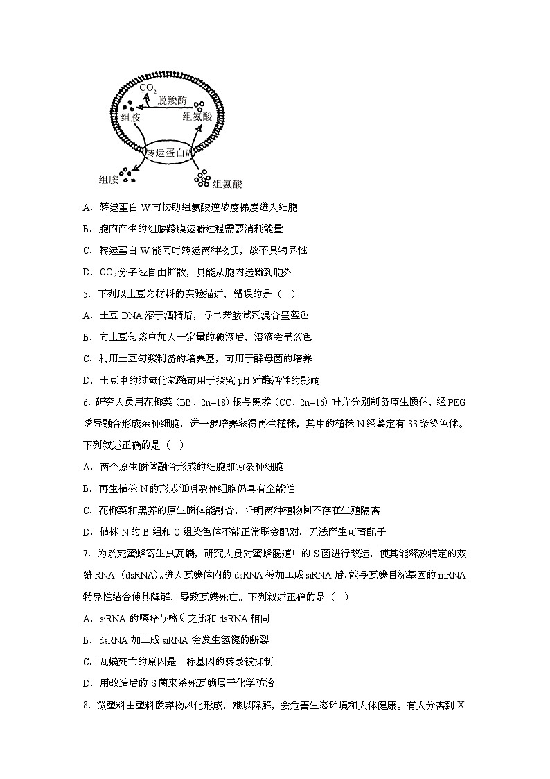 2025年6月四川普通高中学业水平选择性考试生物试题[原卷]附答案第2页