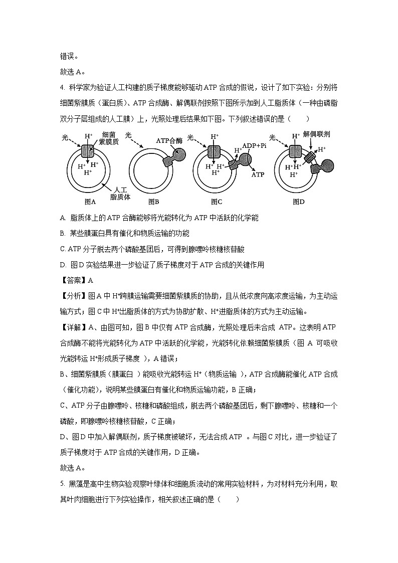 天津市北辰区2025届高三三模[高考模拟]生物试卷（解析版）第3页