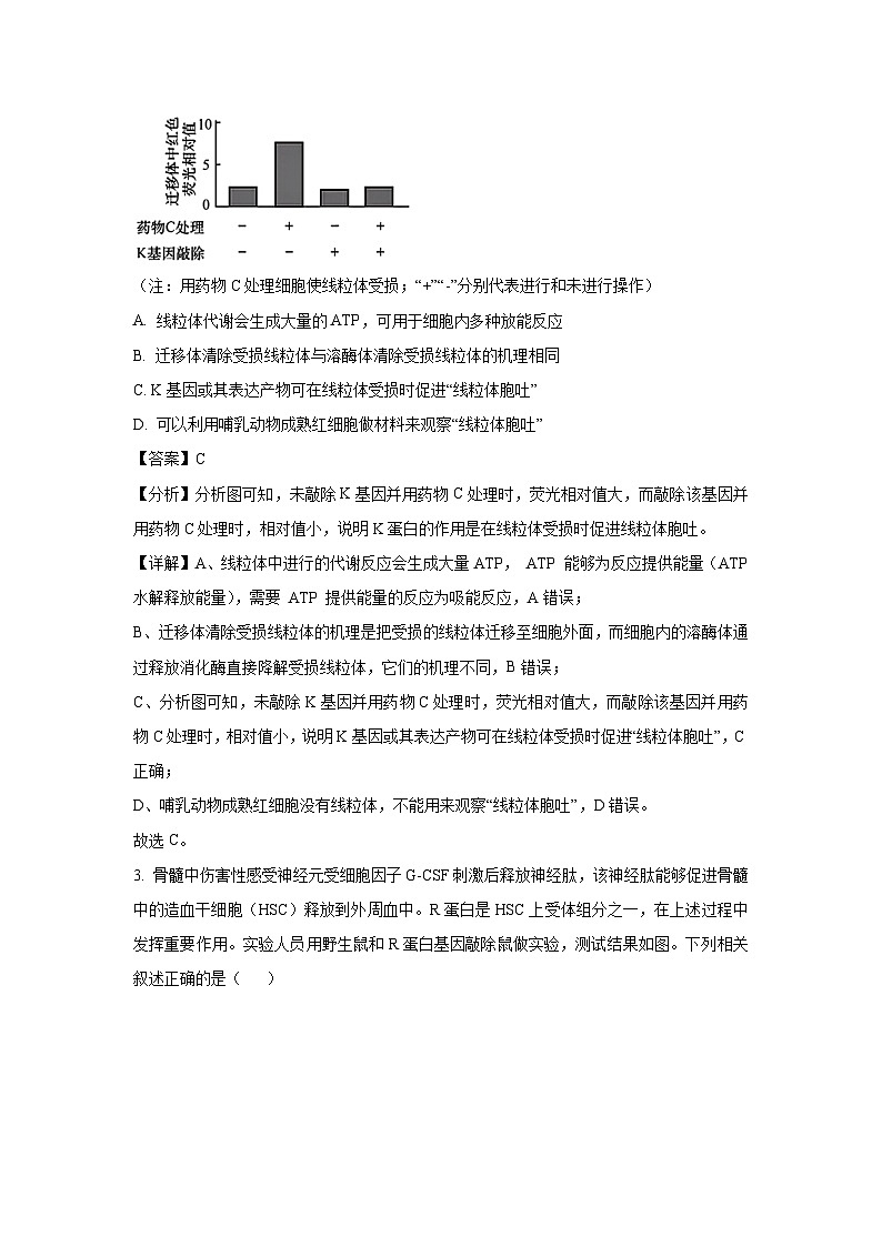 天津市河西区2025届高三三模[高考模拟]生物试卷（解析版）第2页