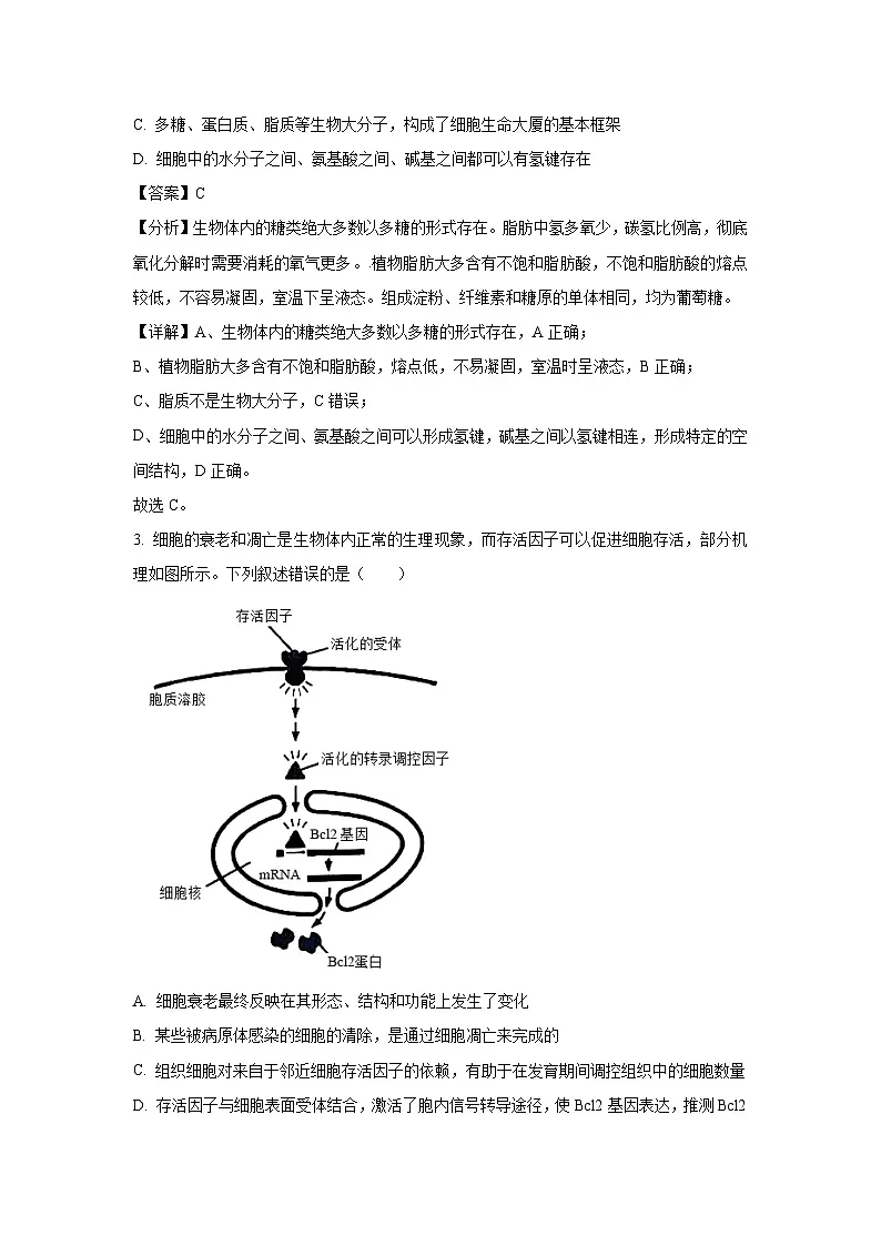2025届辽宁省高考生物模拟卷生物试卷（解析版）第2页