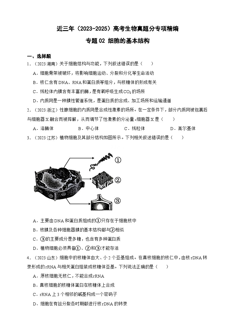 备战2026年高考生物真题分类汇编专题02细胞的基本结构(原卷版+解析版）第1页